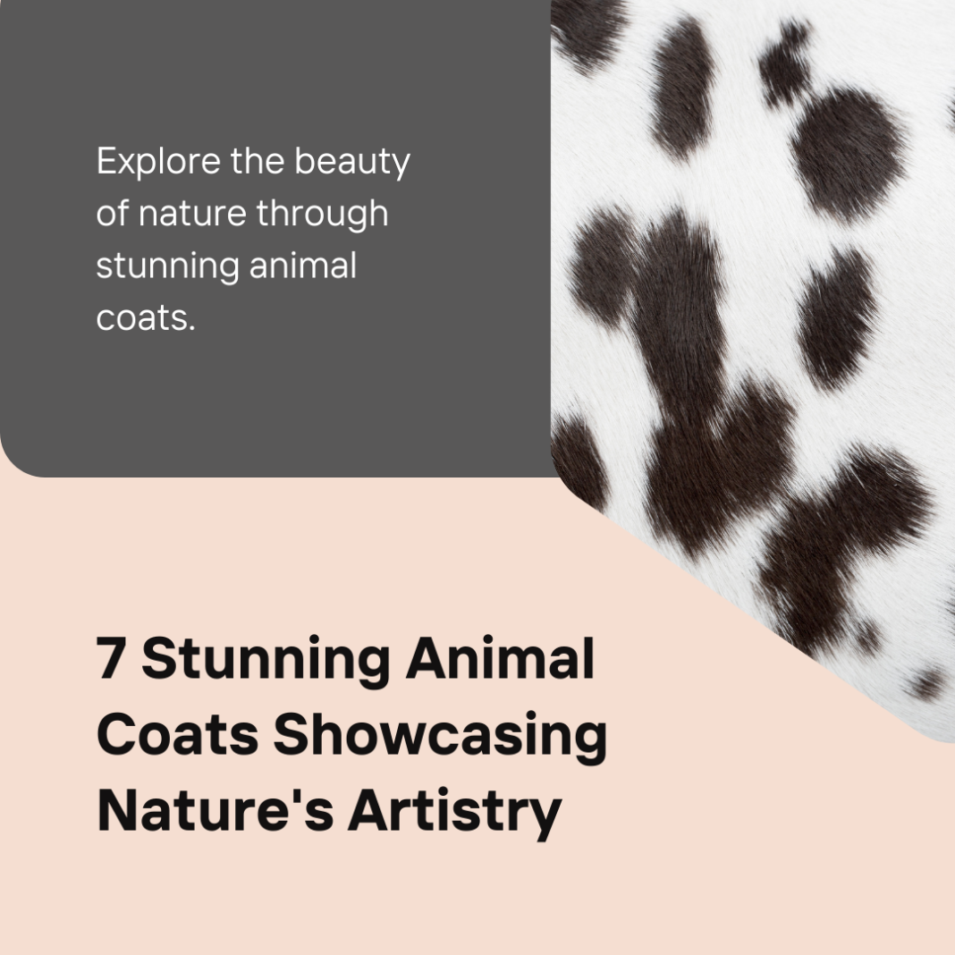 7 Stunning Animal Coats Showcasing Nature's Artistry | 2024