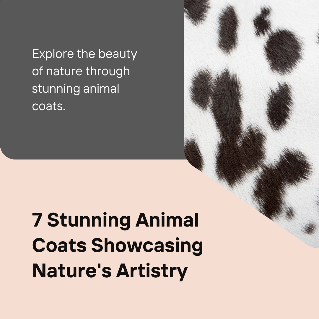 7 Stunning Animal Coats Showcasing Nature's Artistry