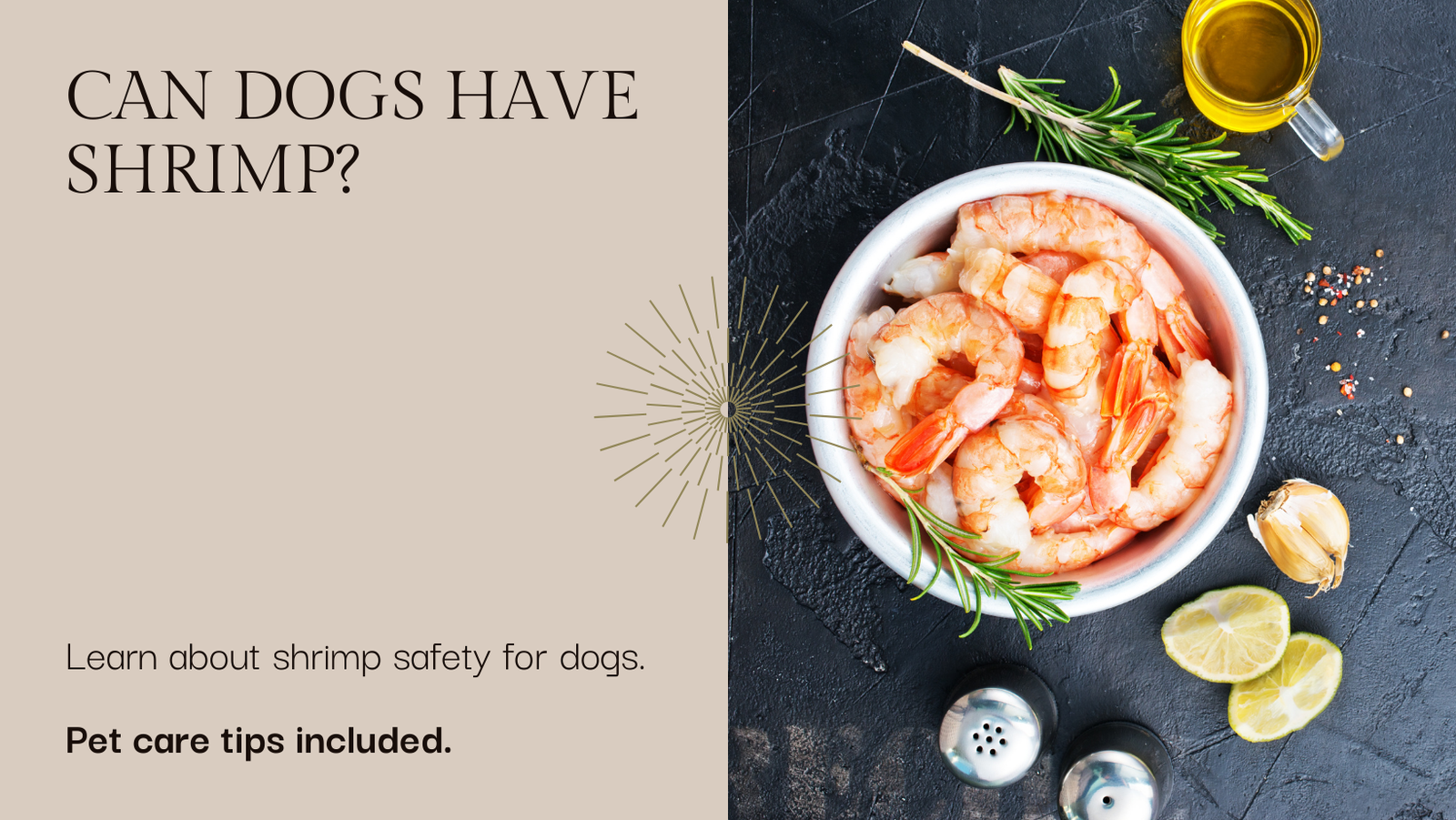 Can Dogs Have Shrimp? A Guide for Pet Owners