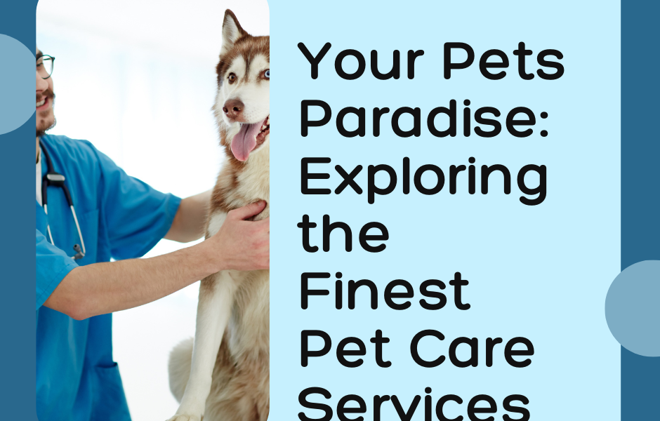 Your Pets Paradise: Exploring the Finest Pet Care Services