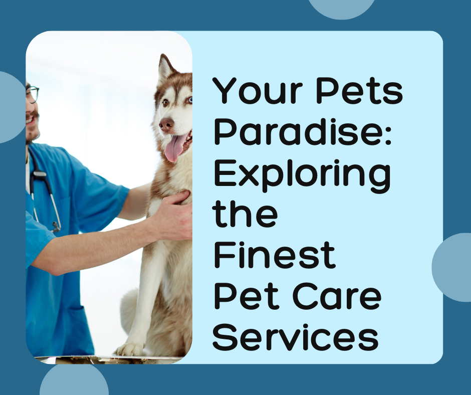 Your Pets Paradise: Exploring the Finest Pet Care Services