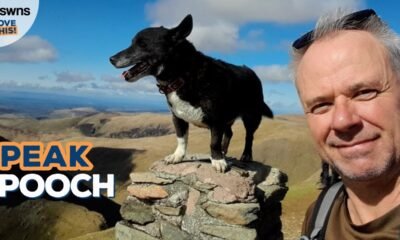 Suns pabeidz episko ceļojumu, kāpjot visos Anglijas kalnos (+ Video)