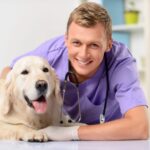 Benefits of Amniotic Tissue Allograft & Where to Buy: AlphaFlo Canine