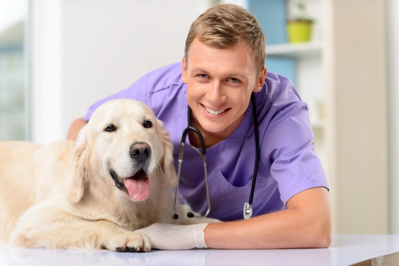 Benefits of Amniotic Tissue Allograft & Where to Buy: AlphaFlo Canine