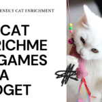 DIY Cat Enrichment Games on a Budget: Unleash Your Feline's Inner Hunter (Without Breaking the Bank!)