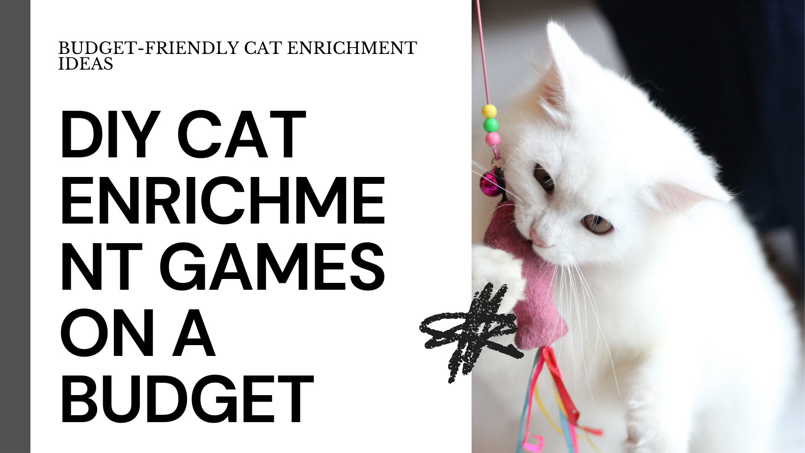 DIY Cat Enrichment Games on a Budget: Unleash Your Feline's Inner Hunter (Without Breaking the Bank!)