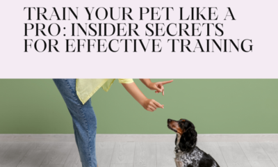 Train Your Pet Like a Pro: Insider Secrets for Effective Training