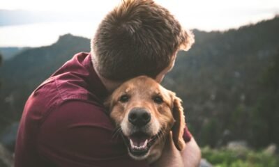 5 Benefits of Emotional Support Animals