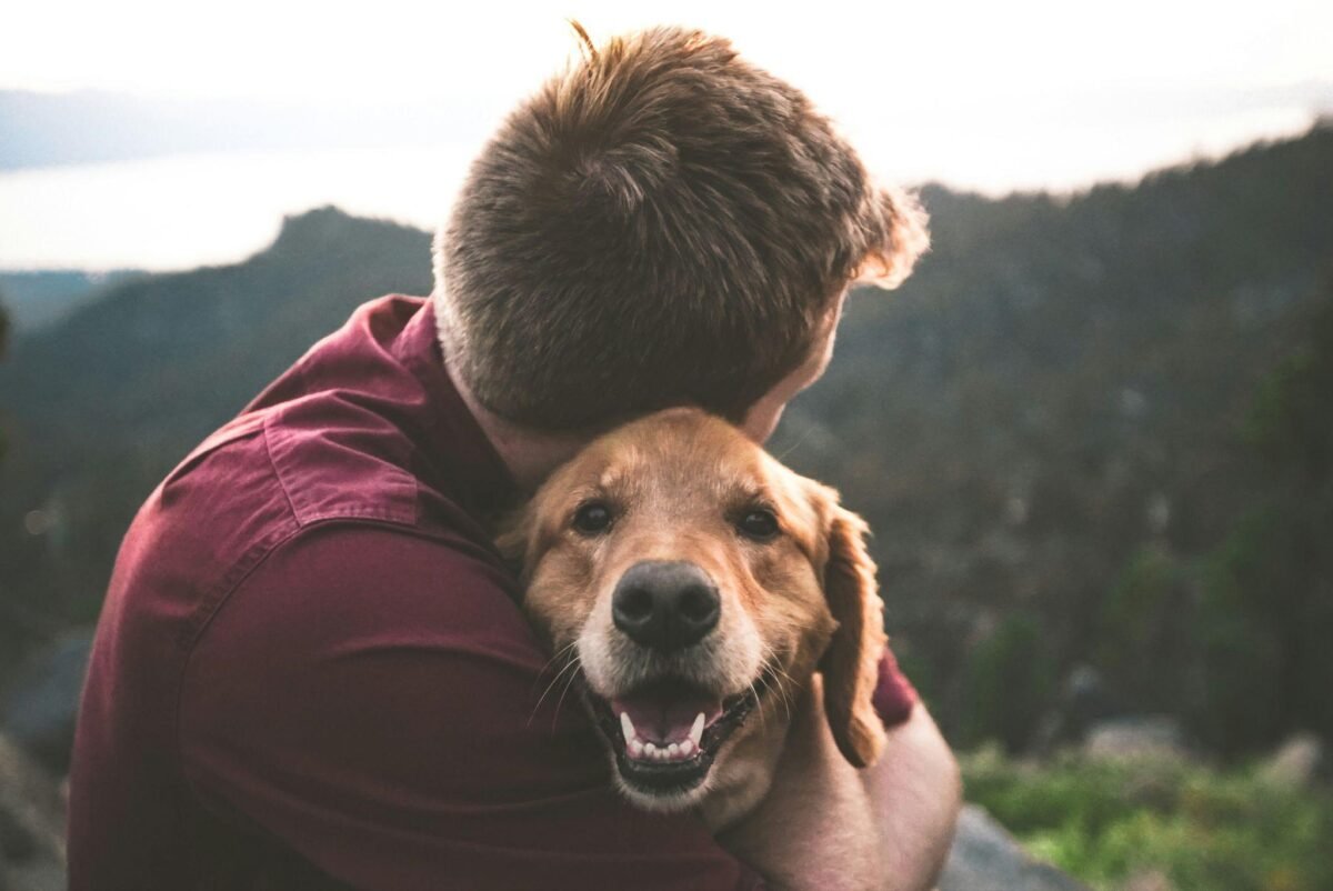 5 Benefits of Emotional Support Animals