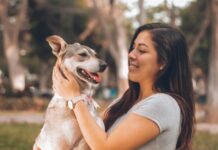 Stress in Humans Impacts Dogs’ Emotional Well-being: New Study Reveals Stress in Humans Impacts Dogs' Emotional Well-being: New Study Reveals