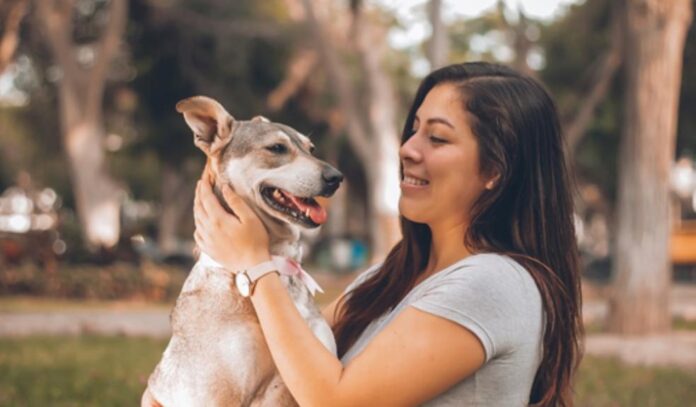 Stress in Humans Impacts Dogs' Emotional Well-being: New Study Reveals