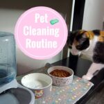 Daily Cleaning Routine for Pets