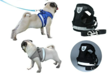 The Benefits of Using a Dog Harness with Side Rings for Enhanced Control and Comfort The Benefits of Using a Dog Harness with Side Rings for Enhanced Control and Comfort