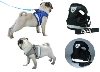 The Benefits of Using a Dog Harness with Side Rings for Enhanced Control and Comfort The Benefits of Using a Dog Harness with Side Rings for Enhanced Control and Comfort