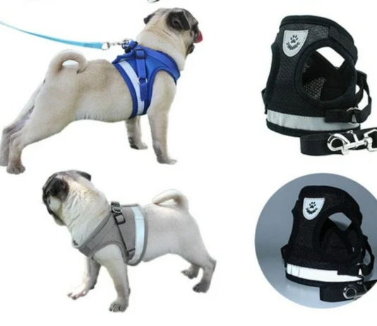 The Benefits of Using a Dog Harness with Side Rings for Enhanced Control and Comfort The Benefits of Using a Dog Harness with Side Rings for Enhanced Control and Comfort