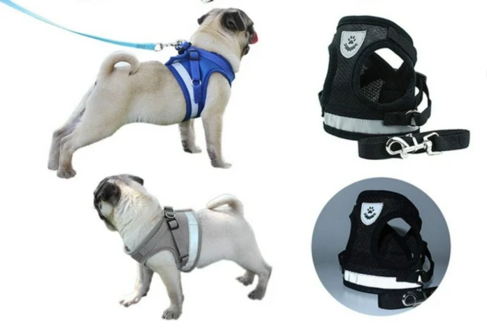 The Benefits of Using a Dog Harness with Side Rings for Enhanced Control and Comfort