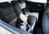 Why Dogs Pant in the Car: Causes, Risks, and Prevention Why Dogs Pant in the Car: Causes Risks and Prevention