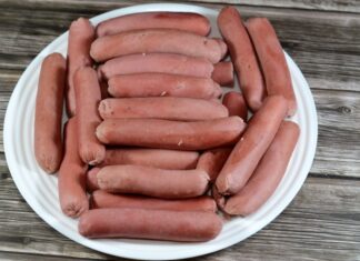 Basschshund Dog Overview