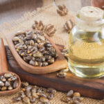 Castor Oil for Dogs: Uses, Safety, and Risks Explained by a Veterinarian