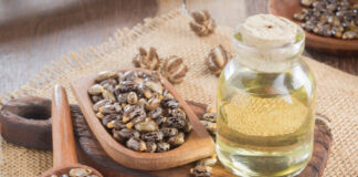 Castor Oil for Dogs: Uses, Safety, and Risks Explained by a Veterinarian Castor Oil for Dogs: Uses, Safety, and Risks Explained by a Veterinarian