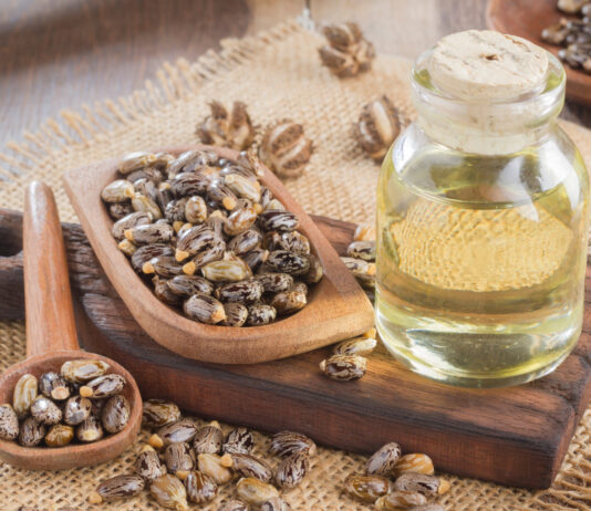 Castor Oil for Dogs: Uses, Safety, and Risks Explained by a Veterinarian Castor Oil for Dogs: Uses, Safety, and Risks Explained by a Veterinarian