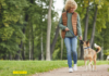 Walking Your Dog: The Best Way to Improve Physical and Mental Health Walking Your Dog: The Best Way to Improve Physical and Mental Health