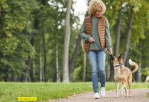 Walking Your Dog: The Best Way to Improve Physical and Mental Health Walking Your Dog: The Best Way to Improve Physical and Mental Health