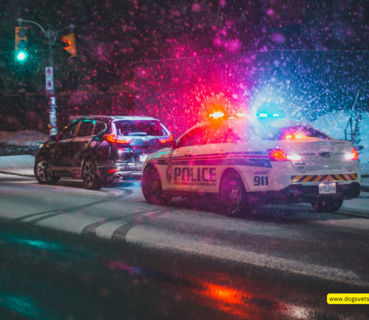 Family Sues Missouri Deputy for Shooting Their Dog Family Sues Missouri Deputy for Shooting Their Dog