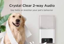 Top Pet Cameras for Dog Owners: Stay Connected Top Pet Cameras for Dog Owners: Stay Connected