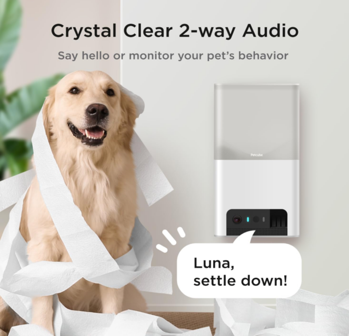 Top Pet Cameras for Dog Owners: Stay Connected