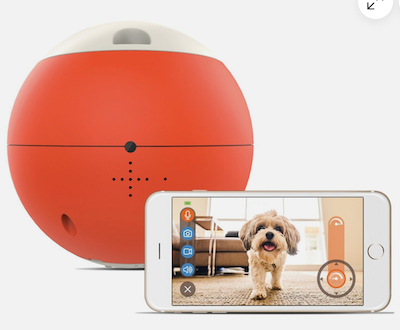 GOSH EasyPlay Robotic Treat Ball Camera