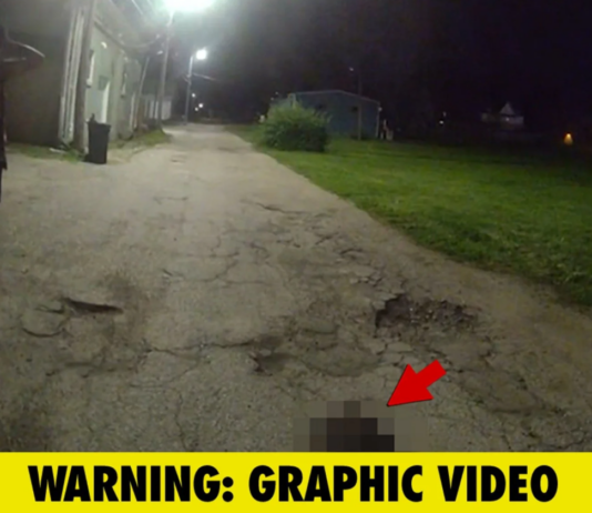 Iowa Cop Accused of Killing Two Dogs in Separate Cases Iowa Cop in Hot Water for Killing Two Dogs in Separate Incidents