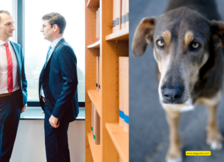 What Atlanta Dog Owners Need to Know About Provocation and Trespassing What Atlanta Dog Owners Need to Know About Provocation and Trespassing