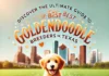 Discover the ULTIMATE GUIDE to Finding the BEST Goldendoodle Breeders in Houston, Texas! 🐾 Discover the ULTIMATE GUIDE to Finding the BEST Goldendoodle Breeders in Houston, Texas