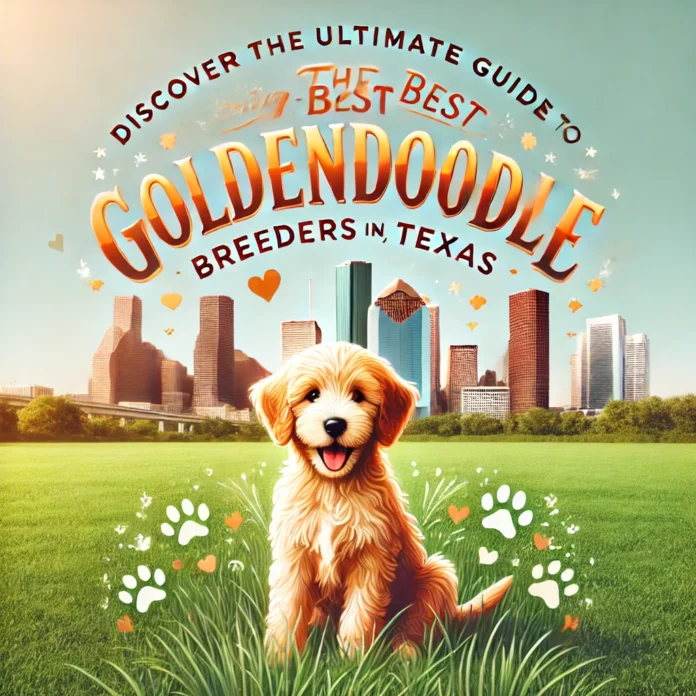 Discover the ULTIMATE GUIDE to Finding the BEST Goldendoodle Breeders in Houston, Texas