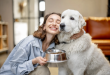 How Much Should I Feed My Dog? Dog Food Calculator dog food calculator
