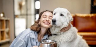 How Much Should I Feed My Dog? Dog Food Calculator dog food calculator