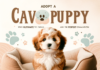 Adopt A Cavapoo Puppy: Your Ultimate Guide to Finding and Raising the Perfect Companion Adopt A Cavapoo Puppy