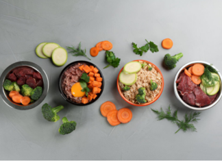 Raw Dog Food: A Beginner’s Guide for New Dog Owners in Cornwall Raw Dog Food: A Beginner’s Guide for New Dog Owners in Cornwall