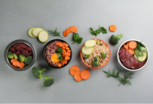 Raw Dog Food: A Beginner’s Guide for New Dog Owners in Cornwall Raw Dog Food: A Beginner’s Guide for New Dog Owners in Cornwall