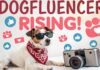 The Rise of Dogfluencers: How Your Pooch Can Become the Next Social Media Sensation