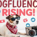 The Rise of Dogfluencers: How Your Pooch Can Become the Next Social Media Sensation The Rise of Dogfluencers: How Your Pooch Can Become the Next Social Media Sensation