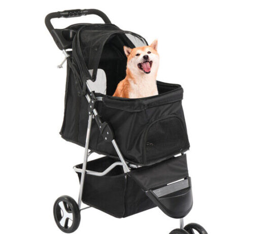 3 Reasons You Should Consider A Pet Pram 3 Reasons You Should Consider A Pet Pram