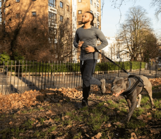 How a Trainer can Control Dog Aggression? How a Trainer can Control Dog Aggression?