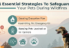 11 Essential Strategies to Safeguard Your Pets During Wildfires 11 Essential Strategies to Safeguard Your Pets During Wildfires