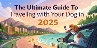 The Ultimate Guide to Traveling with Your Dog in 2025 The Ultimate Guide to Traveling with Your Dog in 2025