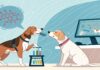 Decoding Dog Barks with AI: Understanding Your Pet’s Emotions Decoding Dog Barks with AI: Understanding Your Pet's Emotions