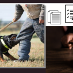 Dog Bite Claims: The Mistakes You Should Avoid Dog Bite Claims: The Mistakes You Should Avoid