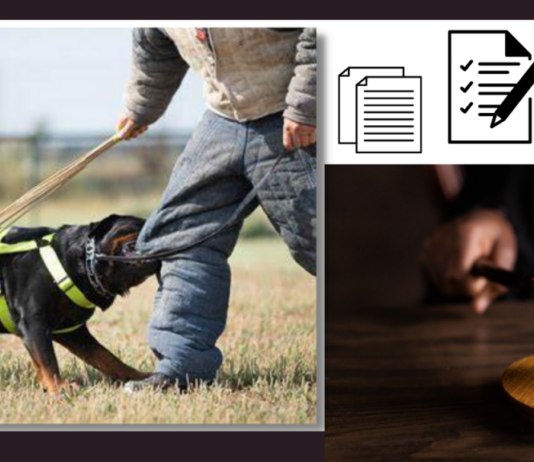 Dog Bite Claims: The Mistakes You Should Avoid Dog Bite Claims: The Mistakes You Should Avoid