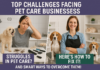 Top Challenges Facing Pet Care Businesses & How to Overcome Them Top Challenges Facing Pet Care Businesses & How to Overcome Them